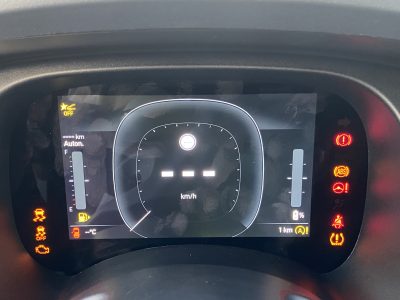 Fiat Panda 1.0 FireFly S&S Hybrid KM 0